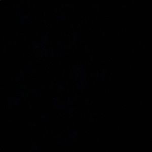 Meet your Posher, Camille